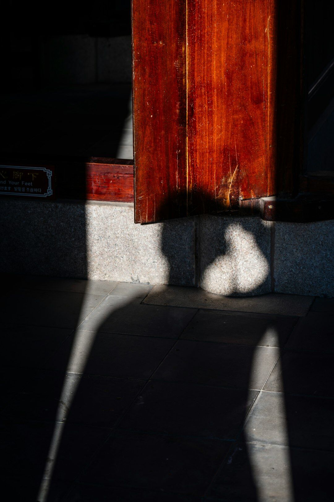 shadowy figure behind door