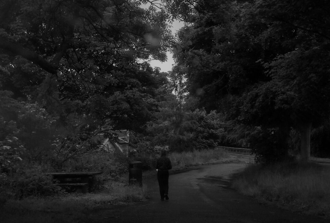 tense mystery scene